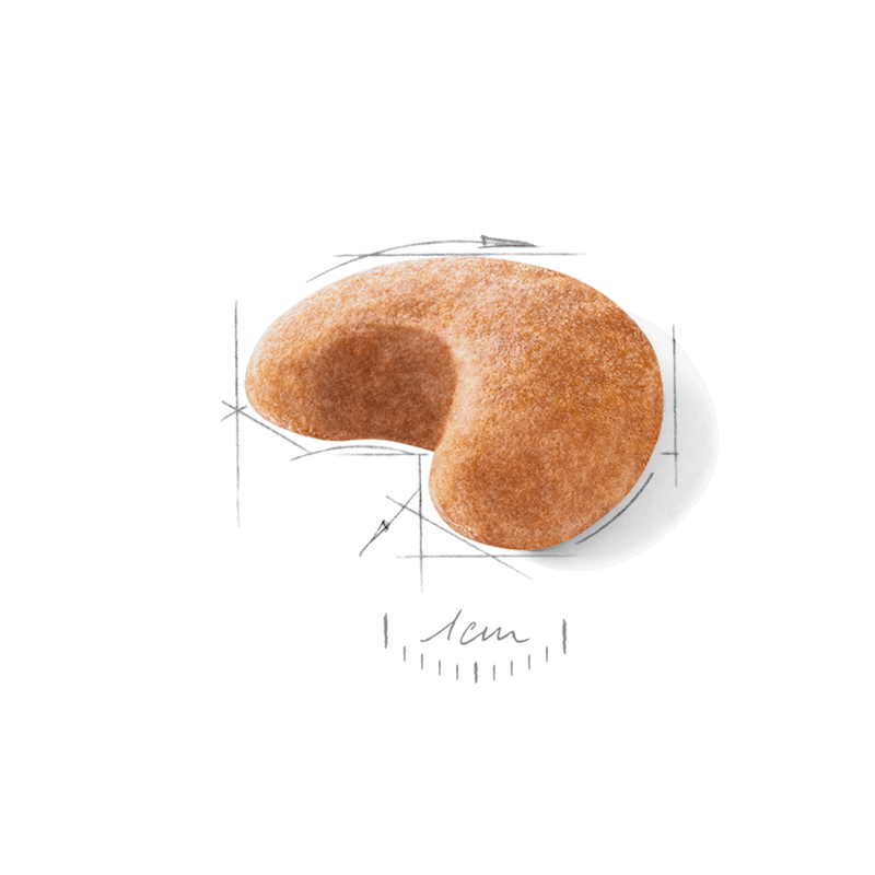 croqueta