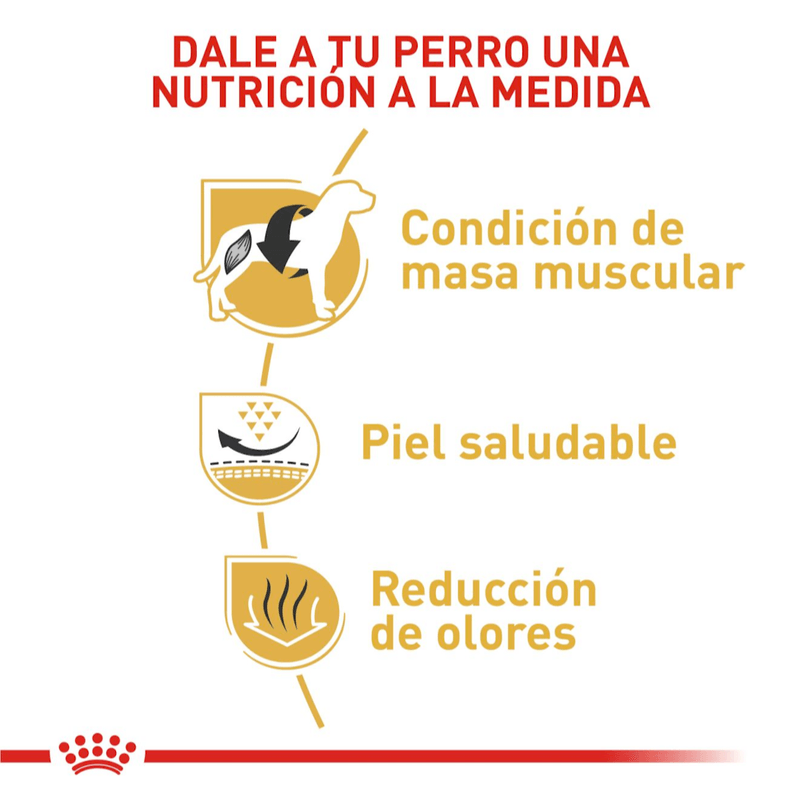 nutricion