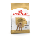 Packshot-del-alimento-para-Poodle-adulto