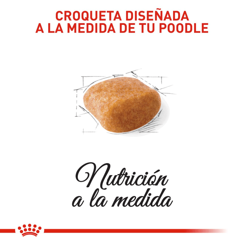 Croquetas-para-Poodle-adulto