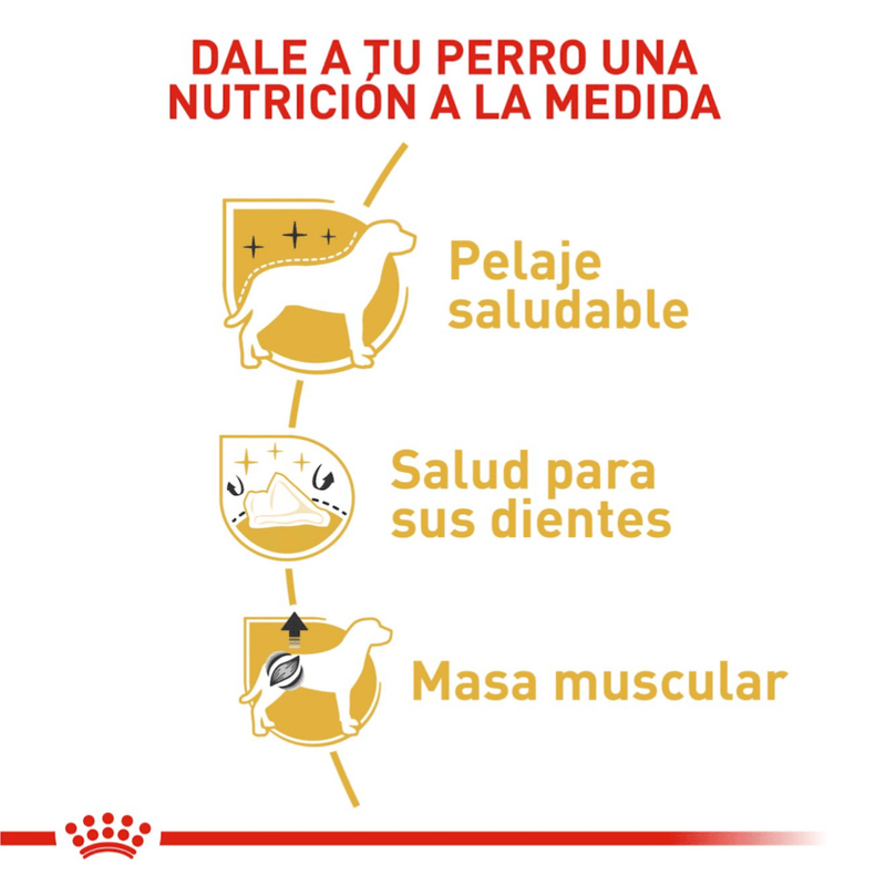 nutricion