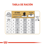 Tabla-de-racion-recomendada-para-Poodle-adulto