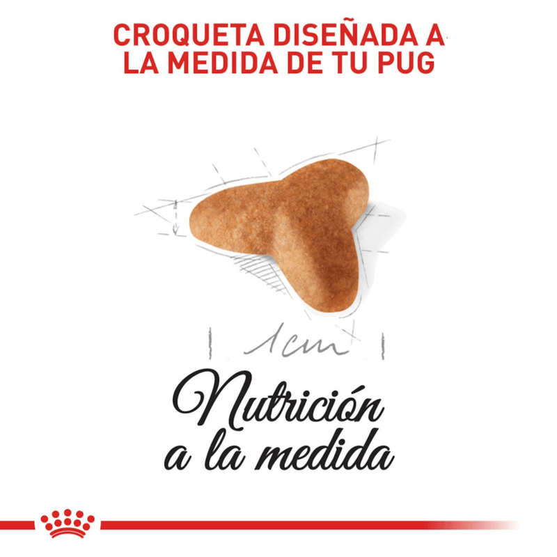 croqueta
