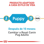 adaptado