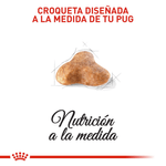 Croquetas-para-Pug-adulto