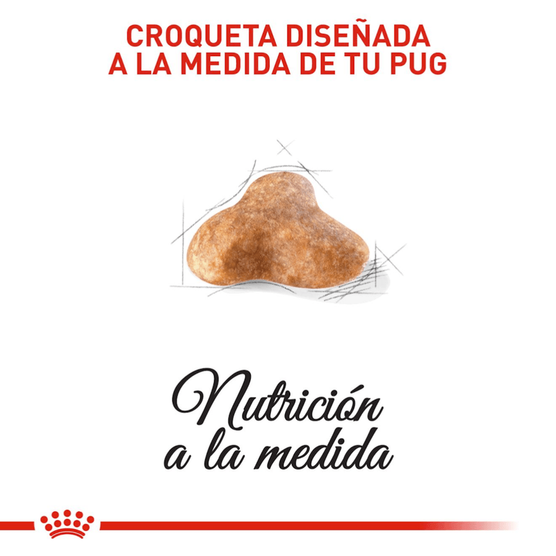 Croquetas-para-Pug-adulto