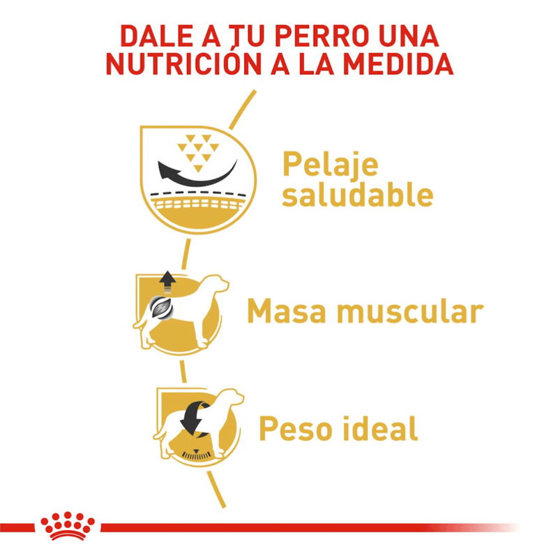 nutricion