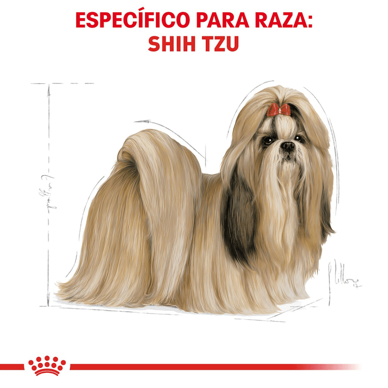 Alimento-para-la-nutricion-del-Shih-Tzu-adulto