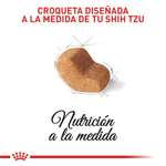 Croquetas-para-Shih-Tzu-adulto