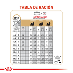 Tabla-de-racion-recomendada-para-Shih-Tzu-adulto