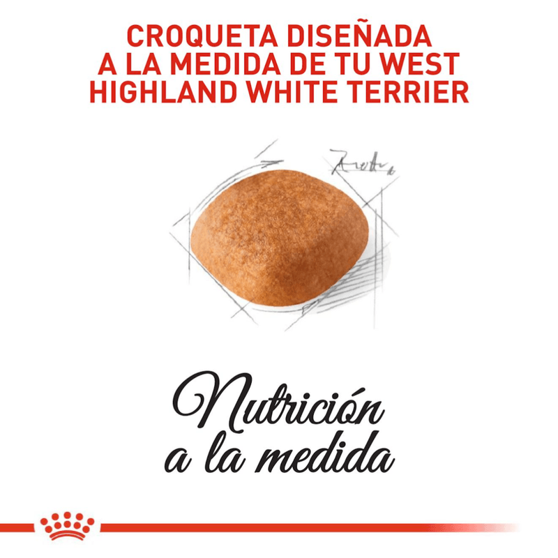 croqueta