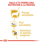 nutricion
