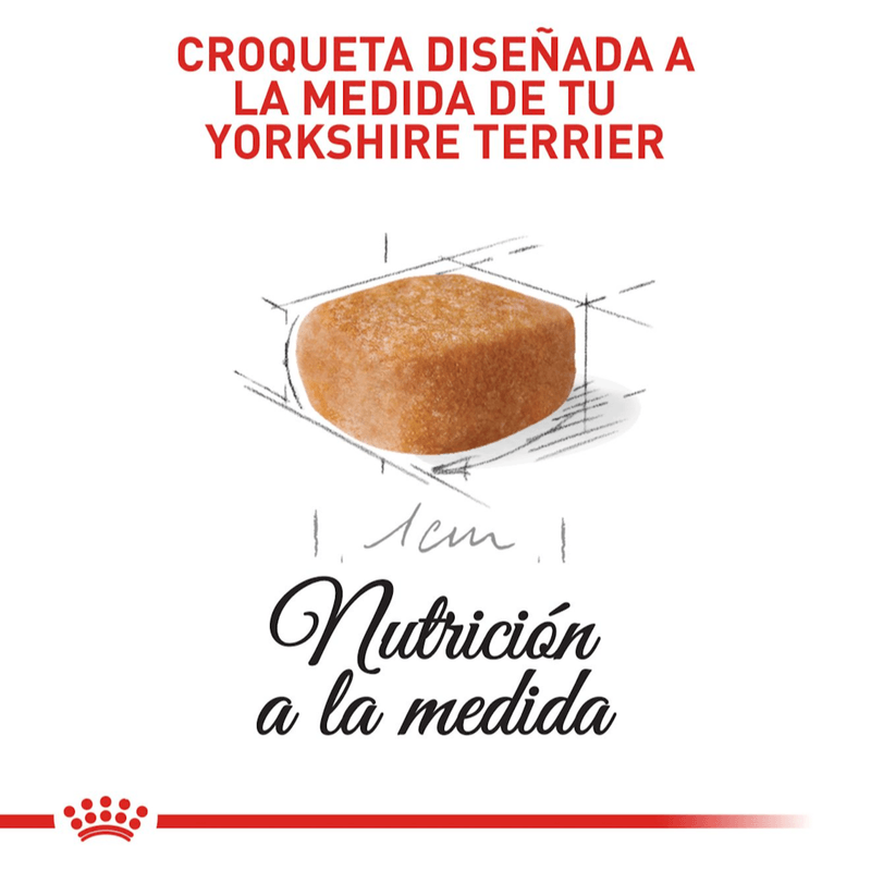 Croquetas-para-cachorros-de-Yorkshire