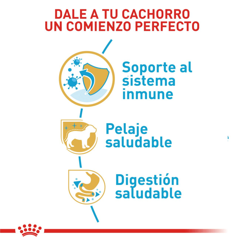 comienzo
