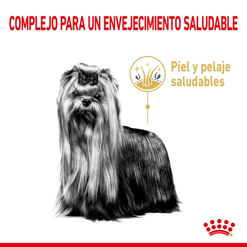 nutricion