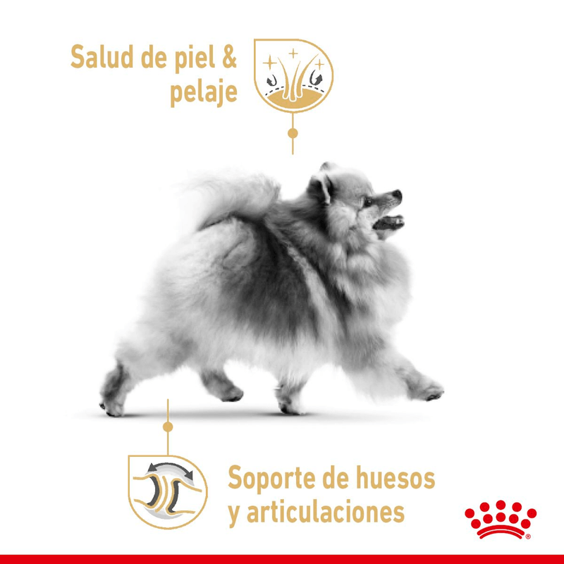 Alimento-humedo-en-lata-especialmente-formulado-para-Pomeranian