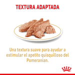 Textura-del-alimento-humedo-en-lata-para-Pomeranian