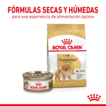 Combinacion-saludable-y-equilibrada-de-nutrientes-para-Pomeranian