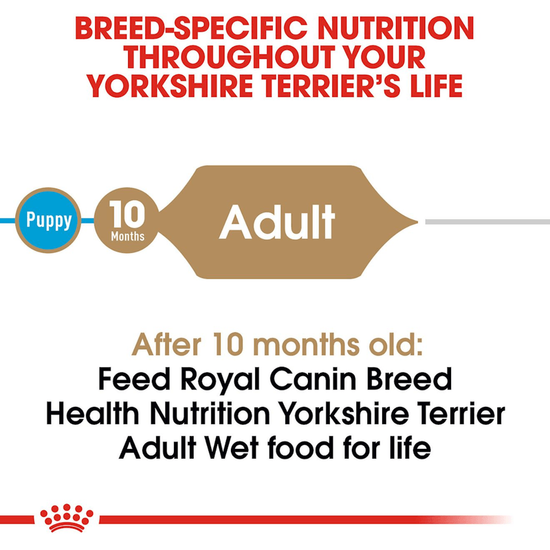 Producto-humedo-en-lata-adaptado-a-las-necesidades-del-Yorkshire