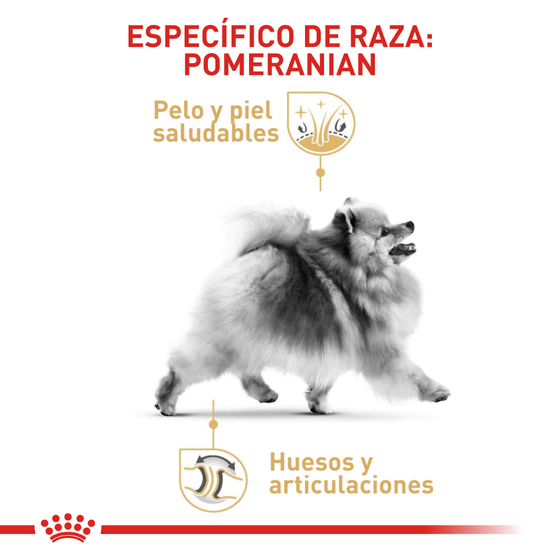 Alimento-especifico-para-la-raza-Pomeranian-adulto