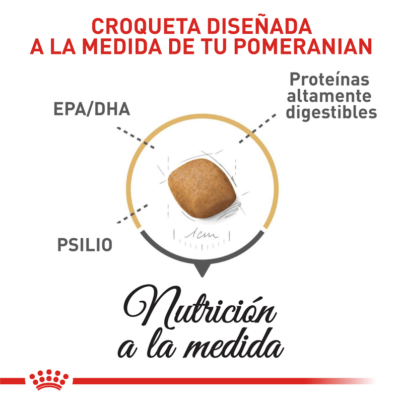 Croquetas-para-Pomeranian-adulto