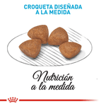 Croqueta-de-alimento-para-cachorro-XSmall