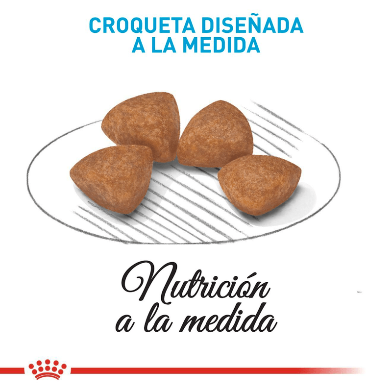 croqueta