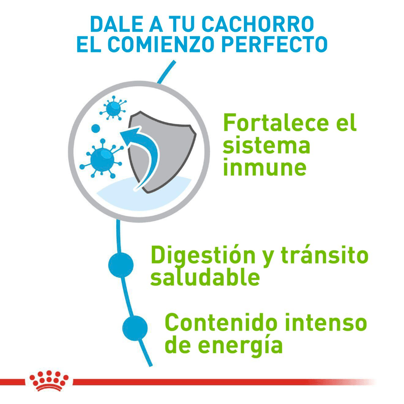 comienzo