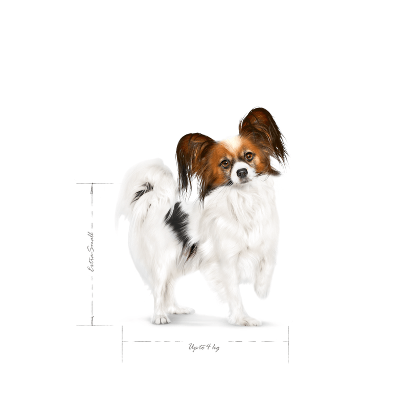 Alimento-para-perro-adulto-XSmall