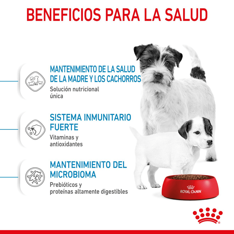 Beneficios-del-alimento-Mini-Starter-Mother-y-Baby-Dog-para-madres-gestantes-o-lactantes-y-cachorros