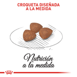 Croqueta-para-cachorro-Mini-Indoor