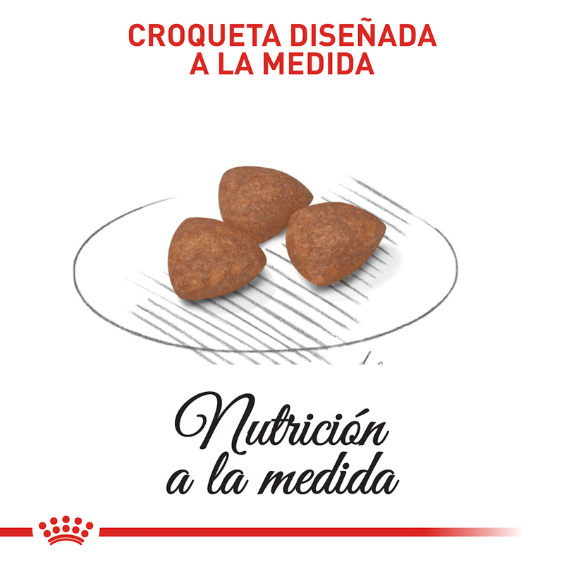 croqueta