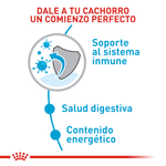 Alimento-para-un-comienzo-perfecto-para-cachorro-Mini-Indoor