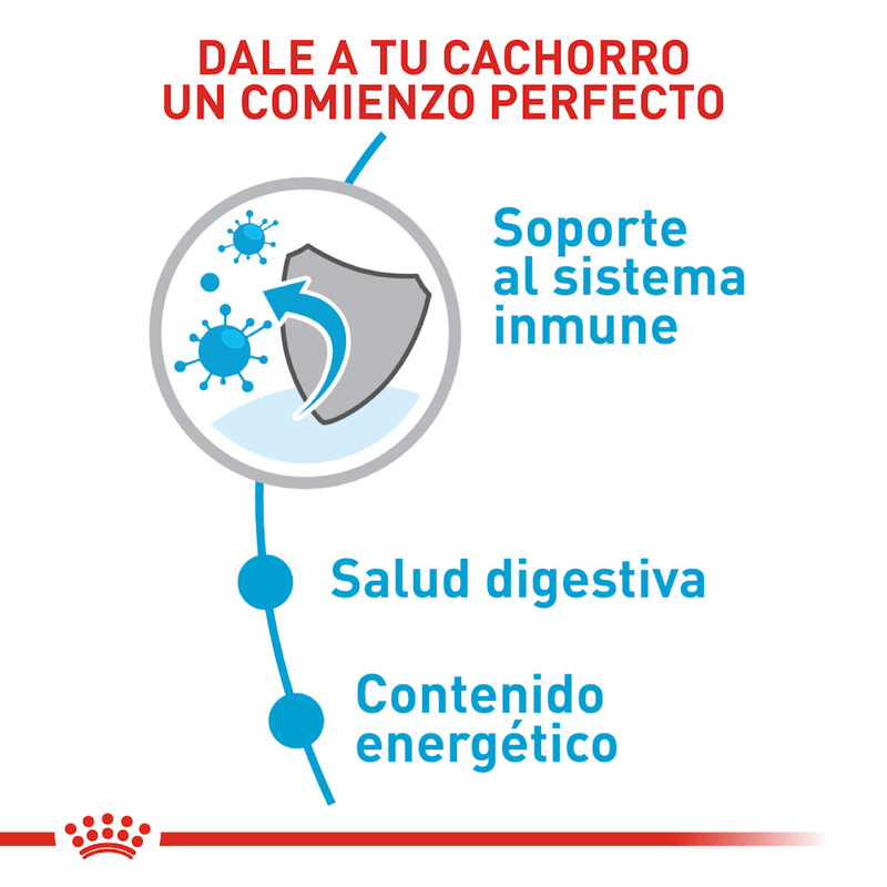 comienzo