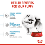 Beneficios-del-alimento-para-cachorro-Mini-Indoor