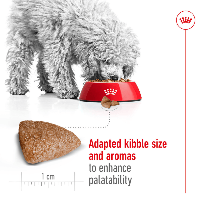 Croqueta-para-perro-adulto-Mini-Indoor