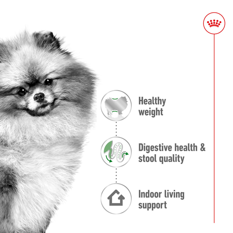Alimento-con-nutricion-personalizada-para-perro-adulto-Mini-Indoor