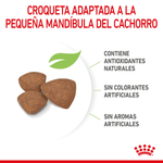 croqueta