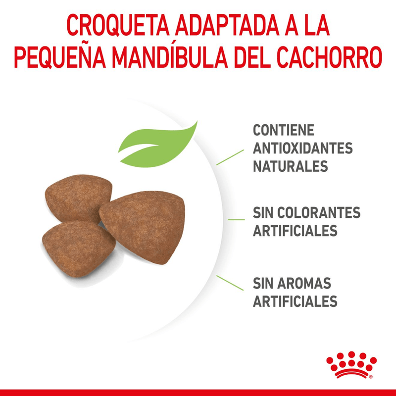croqueta