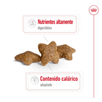 Croqueta-para-perro-adulto-Mini
