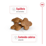 Croqueta-para-perro-adulto-Mini-de-8-anos-o-mas