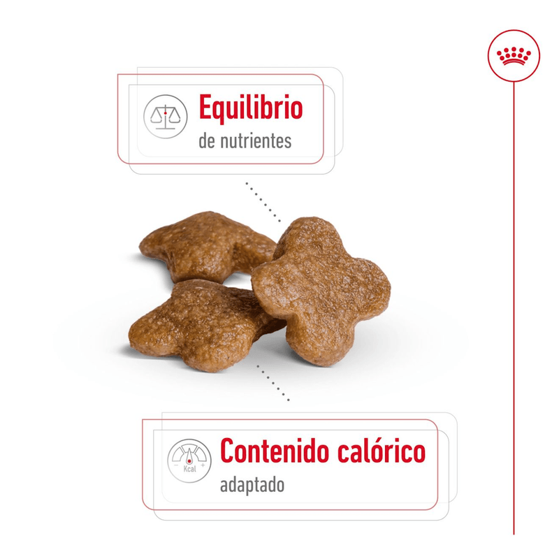croqueta