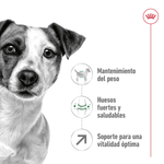 Alimento-con-nutricion-personalizada-para-perro-adulto-Mini-de-8-anos-o-mas