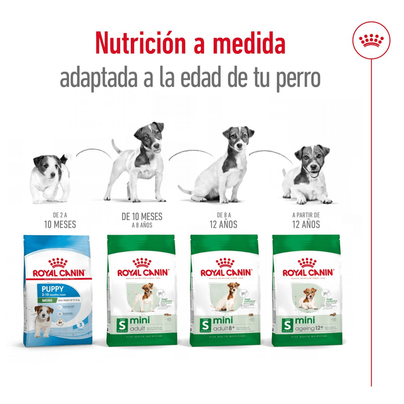 adaptado