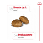 Croquetas-del-alimento-Maxi-Adult-para-perros-adultos-de-raza-grande