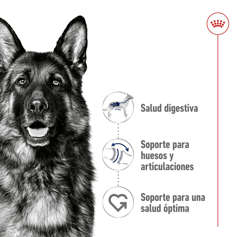 Alimento-con-nutricion-personalizada-Maxi-Adult-para-perros-adultos-de-raza-grande