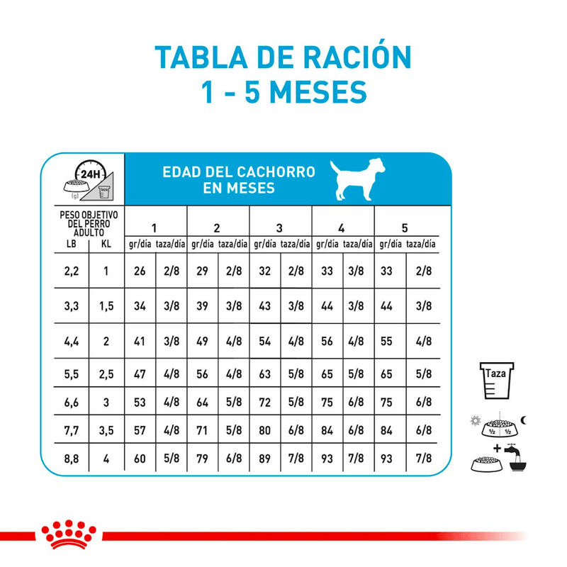 Tabla-de-racion-recomendada-para-cachorro-XSmall