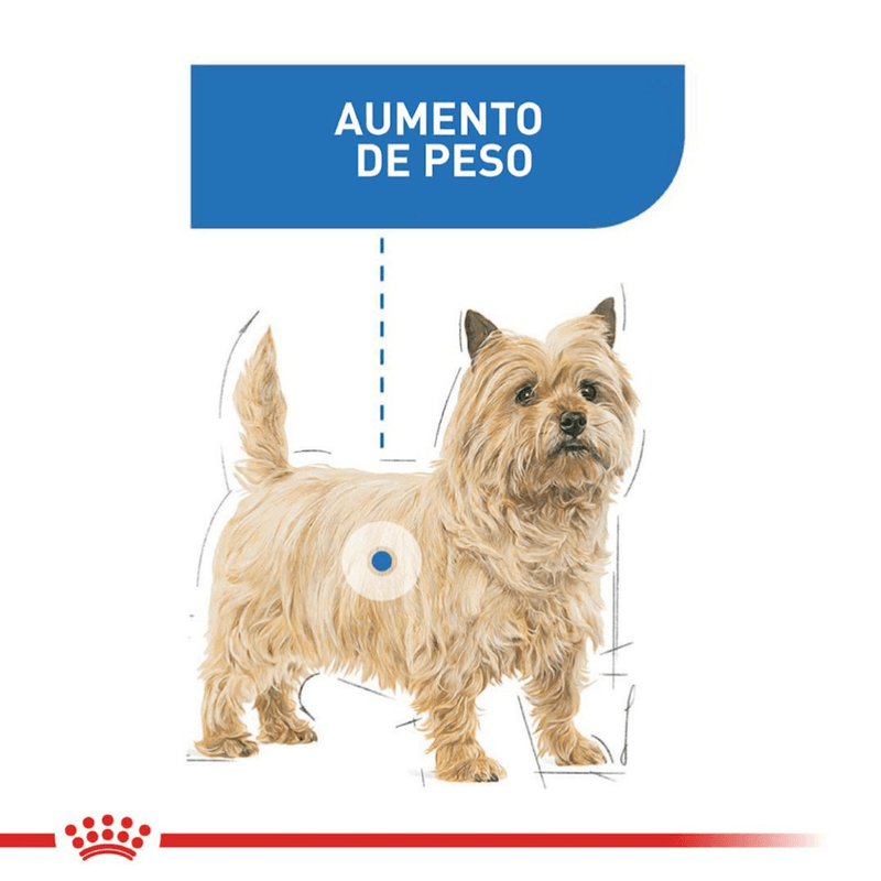 perro