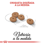 croqueta