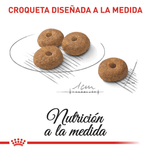 Croquetas-del-alimento-Mini-Sterilised-para-perros-pequenos-esterilizados